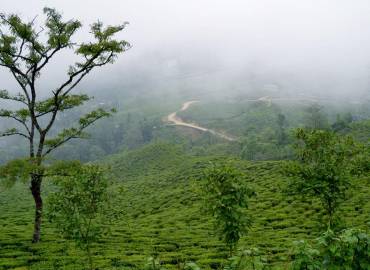 Nature Lover Homestay -Sittong Homestay